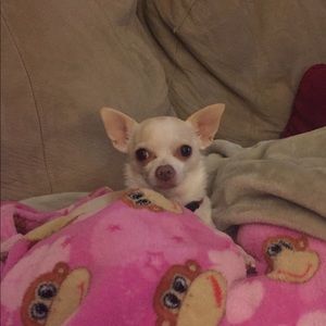 Meet your Posher, Colleen